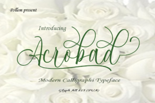 Acrobad Font: Elevating Digital Brand Identity