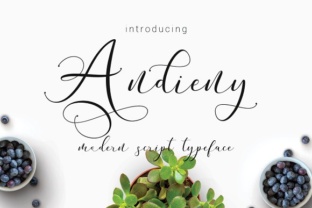 Andieny Font: Elevating Small Business Branding