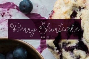 Berry Shortcake Font: A Maker’s Review for Handcrafted Goods