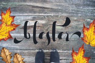 Blester Font: Professional Script Handwritten Branding