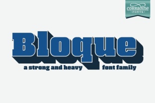 Bloque Family: A Heavy Slab Serif Font for Editorial Design