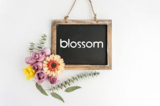 Blossom Font: Elevating Campaign Visuals with Flow