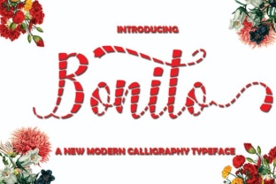 Bonito: Playful Script Font Free Download & Design Guide