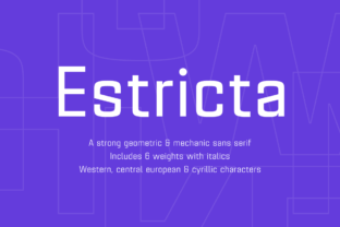 Estricta Family Font for Modern Handmade Product Design
