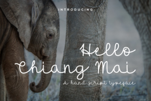 Hello Chiang Mai: Stylish Script Font Free Download