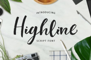 Highline Font: Elegant Script for Modern Branding