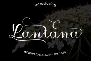 Lantana Font: Modern Calligraphy for Web Design