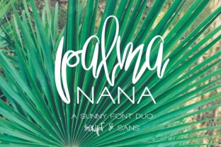 Palma Nana Font Duo Review for Boutique Branding