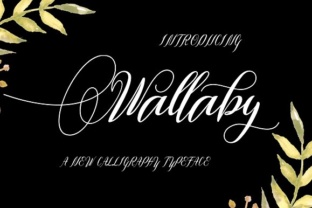 Wallaby Font: Elevating Small Business Branding