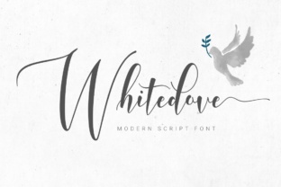 Whitedove Script Font for Editorial Design